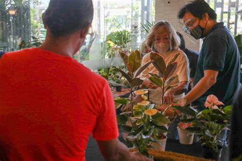 LOOK: Haven for plantitas and plantitos .